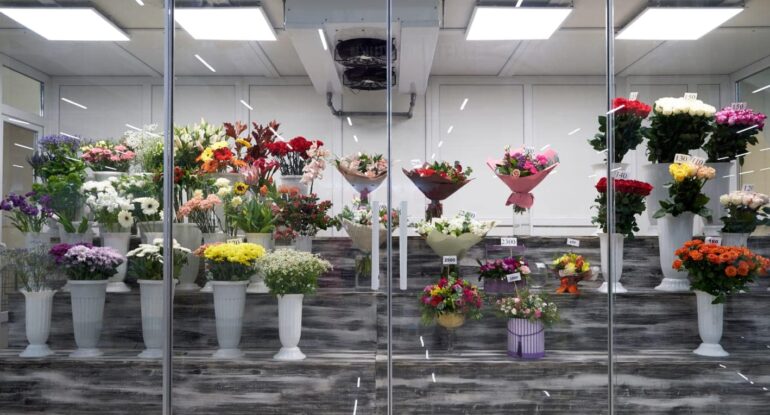Холодильные камеры для цветов