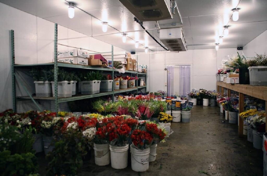 Холодильные камеры для цветов