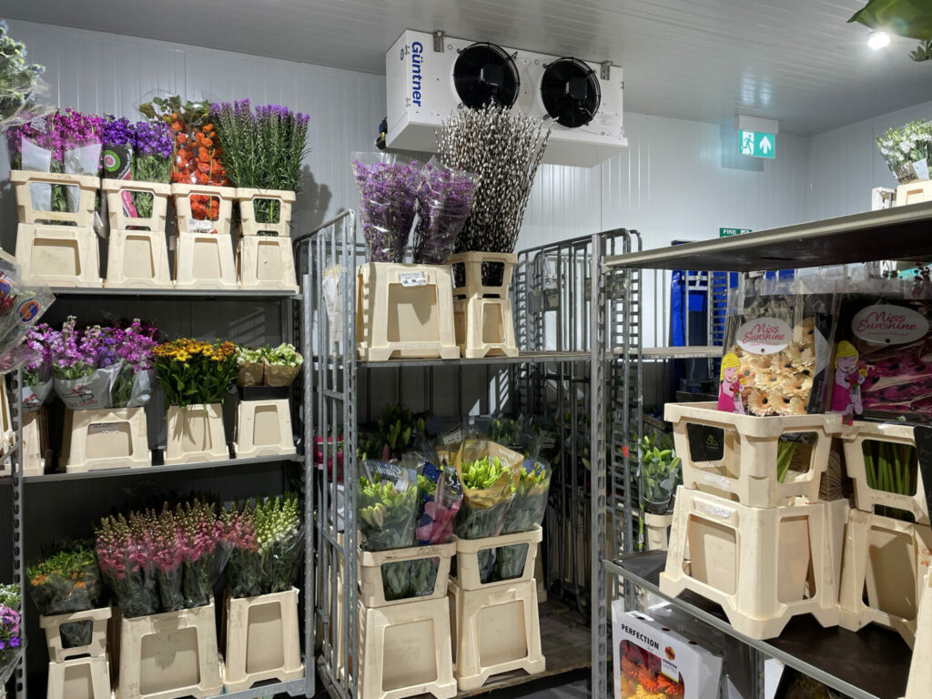 Холодильные камеры для цветов