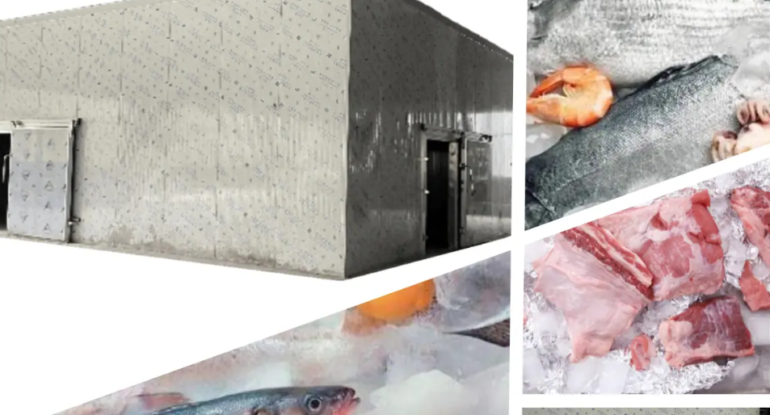 Холодильные камеры для морепродуктов