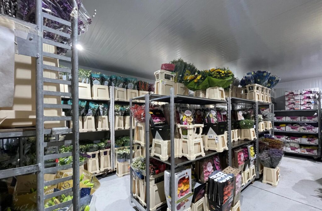 холодильные камеры для цветов