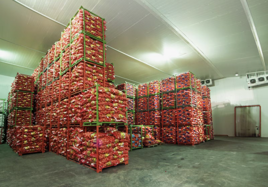 холодильные камеры для фруктов