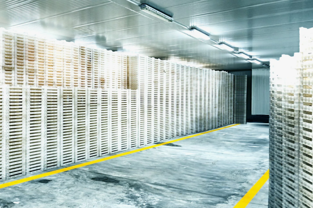 холодильный склад