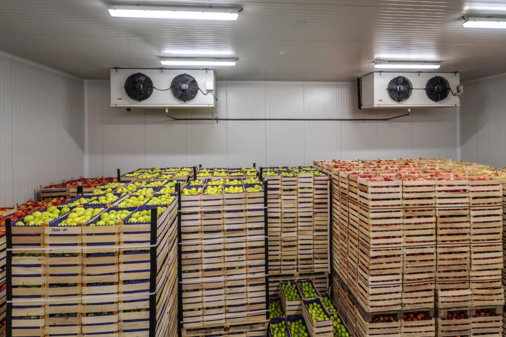 холодильные камеры для фруктов