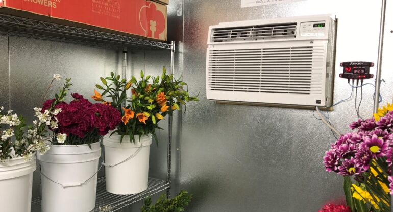 холодильные камеры для цветов