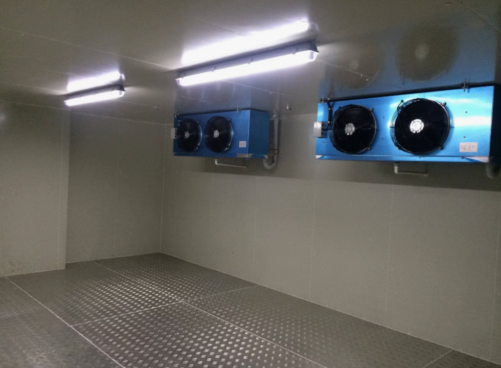 Морозильная Камера