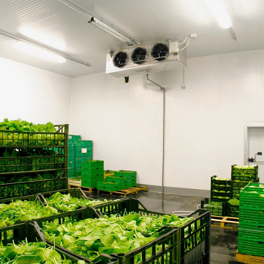 Холодильные камеры для фруктов