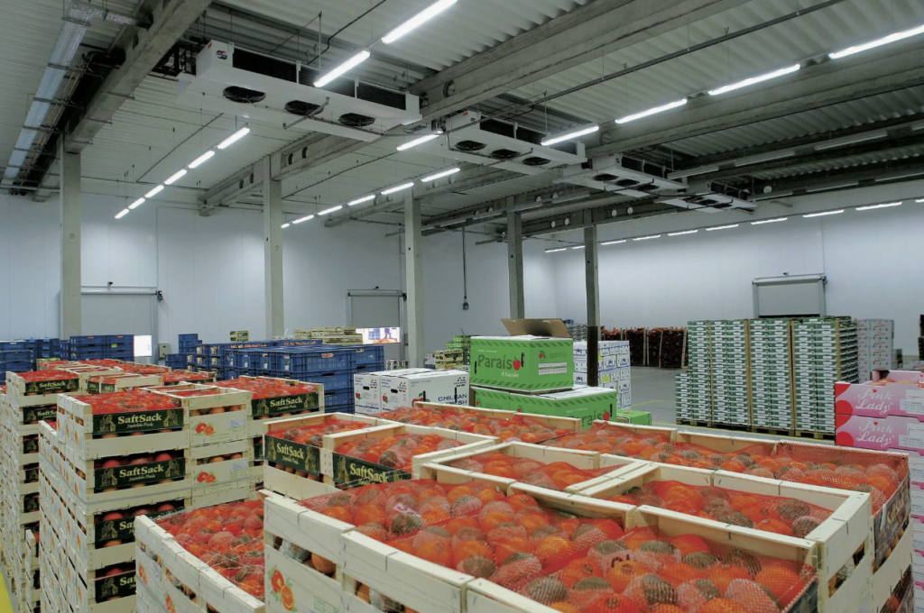 Холодильные камеры для фруктов