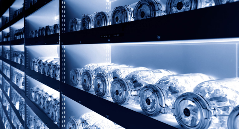 Холодильная камера для семян