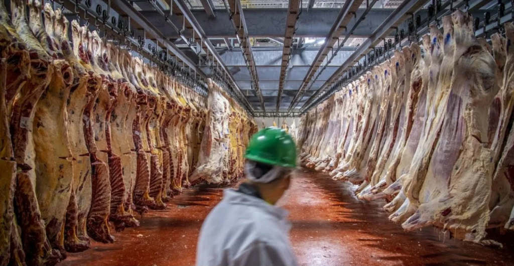 Холодильные камеры на бойнях