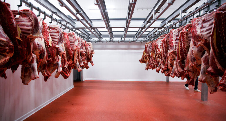 Холодильные камеры на бойнях