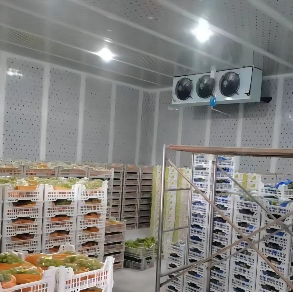 камера с регулируемой атмосферой